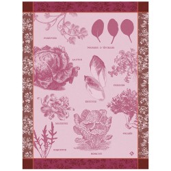 Torchons de cuisine Salades illustrées Chicorée, Le Jacquard Français 